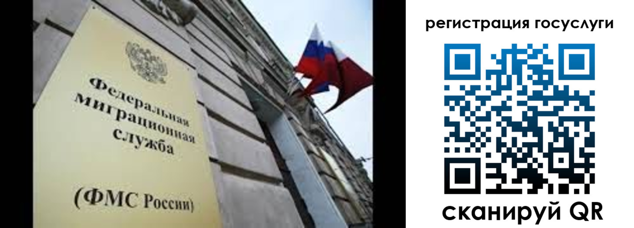 прописка для школы в Коркино